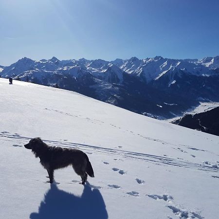 Cordial Sport Hotel Going Going am Wilden Kaiser Extérieur photo